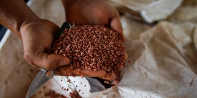 Os 10 Mandamentos do Vendedor de Insumos Agrícolas