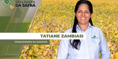 Levantamento encontra nematoides em 99% das áreas de soja do Mato Grosso