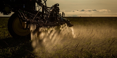 Área tratada com defensivos agrícolas cresce 5% no 1o semestre, indica pesquisa