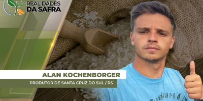 Preço do arroz está R$ 20,00 abaixo do custo de produção no Rio Grande do Sul