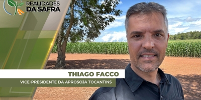 Milho, gergelim e feijão começam a ser colhidos com boas expectativas em Tocantins