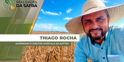 Colheita do milho começa no Mato Grosso com expectativas positivas de produtividade