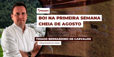 Semana começa com perspectivas positivas para o boi gordo diante da recente reação do mercado com alta da arroba e da carne