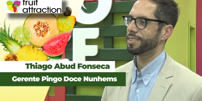 Melancia Pingo Doce deve começar a ser exportada ainda em 2026