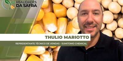 Cascavel/PR com colheita da soja e plantio do milho praticamente encerrados