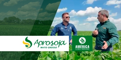 Em Dakota do Norte, alto índice pluviométrico dos últimos meses trouxe benefício à soja e ao milho do estado