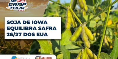 Crop Tour: Alto padrão de lavouras visitadas em Iowa equilibra safra americana de soja e estimativa indica boa temporada 26/27