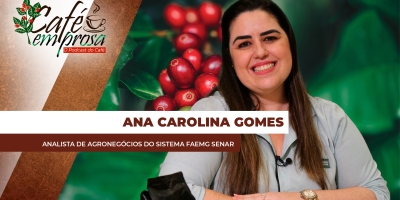 O potencial e os desafios de Minas Gerais, o Estado que mais produz café no país