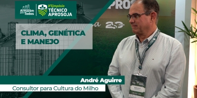Busca do potencial de produtividade na cultura do milho depende da interação entre genética, clima e manejo