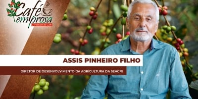 Foco na sustentabilidade: Produção de café na Bahia movimenta a econômia de diversas regiões