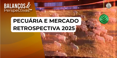 Pecuária & Mercado: Retrospectiva 2025 - Edição de 30/12/2025