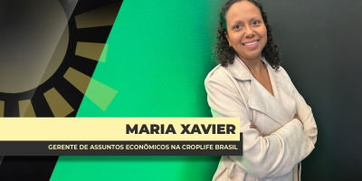 Insumos Agrícolas: Após recorde na comercialização de 25, 2026 deverá trazer novos números robustos com destaque para exportação de sementes do BR