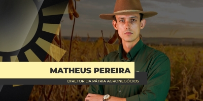 Produção de soja no Brasil deverá ter menor crescimento de área desde a safra 2006/07, aponta Pátria Agronegócios