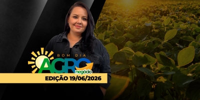 Bolsas fechadas nos EUA, negociações para acordo no Oriente Médio adiadas e Brasil esperando impactos