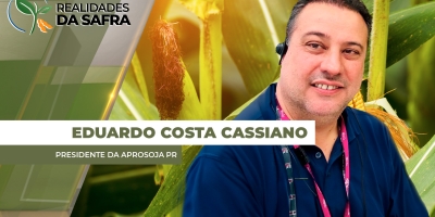 Chuvas muito localizadas e calor intenso no Paraná afetam o desenvolvimento do milho, que já tem perdas consolidadas, afirma Aprosoja