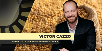 Preços da soja vão concluindo semana com ganhos de até R$ 2/sc no mercado brasileiro e negócios mais ativos