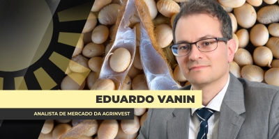 Safra 26/27 de soja do BR tem preços mais atrativos dos que os da atual e devem ser considerados pelo produtor