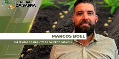 Com janela curta para plantio do milho, escolha correta do híbrido vai fazer a diferença para o potencial de produtivo