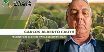 Soja se desenvolvia bem em Passo Fundo/RS, mas 15 dias sem chuvas já afeta as plantas