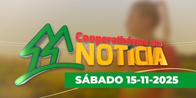 Cooperativismo em Notícia - Edição 15-11