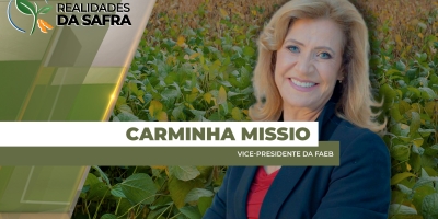 Plantio da safra de soja avança no Oeste da Bahia, mas produtores estão em alertas aos custos de produção