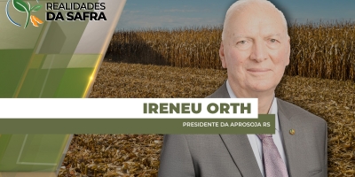 Falta de crédito pode reduzir área plantada e uso de tecnologia na safra de soja gaúcha