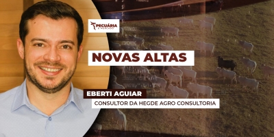 Com consumo aquecido, preço do boi gordo chega a R$ 320 em SP e pequenos frigoríficos enfrentam maior dificuldade na originação