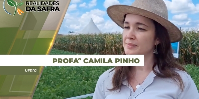 Tecnologia muda resultados da dessecação, permitindo a maturação dos grãos de forma mais uniforme e no tempo adequado