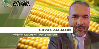 Milho se desenvolve bem em Primavera do Leste/MT, mas é preciso chuva ao longo de abril