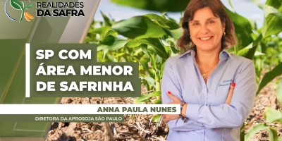 Milho: Em SP, produtores optam pela redução de área de safrinha em algumas regiões em função dos altos custos