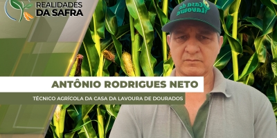 Laguna Carapã/MS volta a registrar chuvas após 16 dias de seca nas lavouras de milho