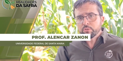 Pesquisas mostram que aumento do nutriente no sistema, combinados com plantas de cobertura, podem ampliar produtividade de soja e milho