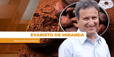 Dia Nacional do Cacau: entre desafios no campo e novas oportunidades no mercado