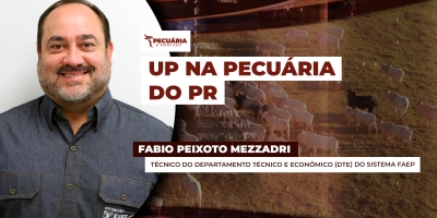 Paraná retoma projeto Pecuária Moderna na busca por melhores índices zootécnicos no estado