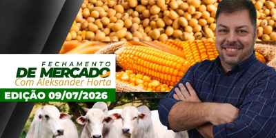 Cenários para soja e milho apontam para pressão nos preços; queda na arroba do boi desacelera