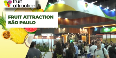 Fruit Attraction São Paulo começa com alta expectativa de público e negócios