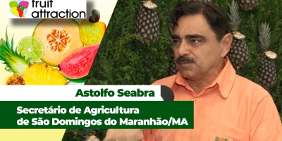 Abacaxi gera 60% de toda a renda de São Domingos do Maranhão/MA