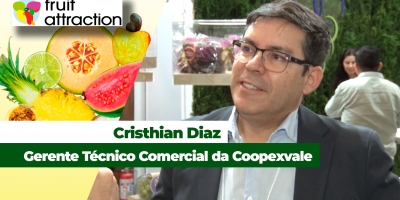 Coopexvale espera ampliar exportações de uva após acordo Mercosul-União Europeia passar a valer