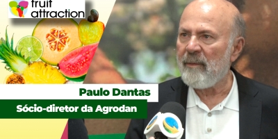 Maior produtor e exportador de manga do Brasil quer mudar estratégia e apostar mais no mercado interno