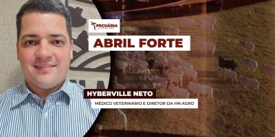 Arroba do boi chega aos R$360 em SP e buscar novos patamares de preços no curto prazo