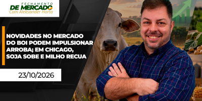 FECHAMENTO DE MERCADO - Novidades no mercado do boi podem impulsionar arroba; em Chicago, soja sobe e milho recua