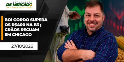 FECHAMENTO DE MERCADO - Boi gordo supera os R$400 na B3 ; grãos recuam em Chicago