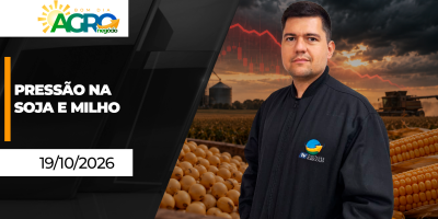 Bom Dia Agro - Semana começa com pressão para soja e milho; RS segue registrando perdas