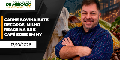 FECHAMENTO DE MERCADO - Carne bovina bate recorde, milho reage na B3 e café sobe em NY
