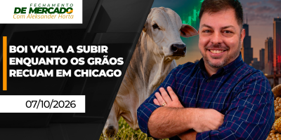 FECHAMENTO DE MERCADO - Boi volta a subir enquanto os grãos recuam em Chicago