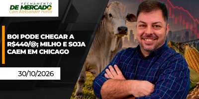 FECHAMENTO DE MERCADO - Projeção de boi a R$440/@ e semana de perdas para milho e soja em Chicago