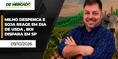 FECHAMENTO DE MERCADO - Milho despenca e soja reage em dia de USDA , boi dispara em SP