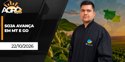 Clima afeta trigo e cana, mas plantio da soja avança em Goiás e Mato Grosso