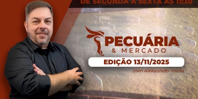 Os sinais do mercado do boi que indicam retomada da alta da arroba