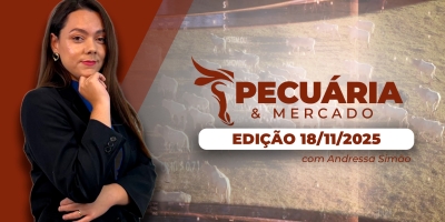 Mercado físico mantém firmeza e boi gordo segue cotado a R$ 320/@ apesar da pressão nos futuros